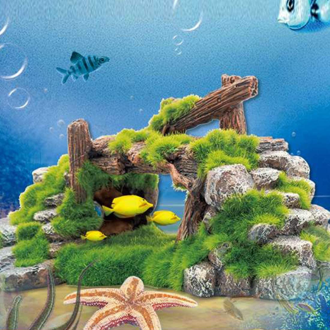 S-Lifeeling abri tortue pour aquarium – refuge sûr et naturel