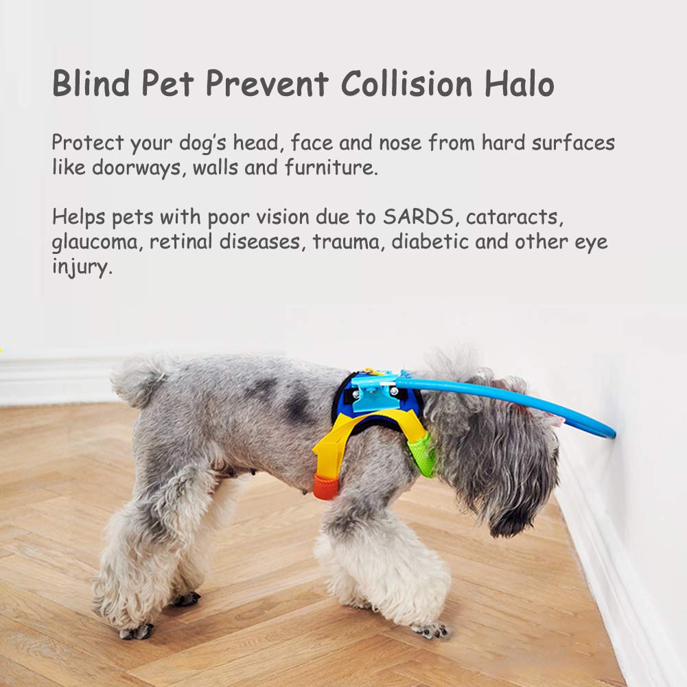 Harnais S-Lifeeling – protection tête en mouvement pour chien aveugle.