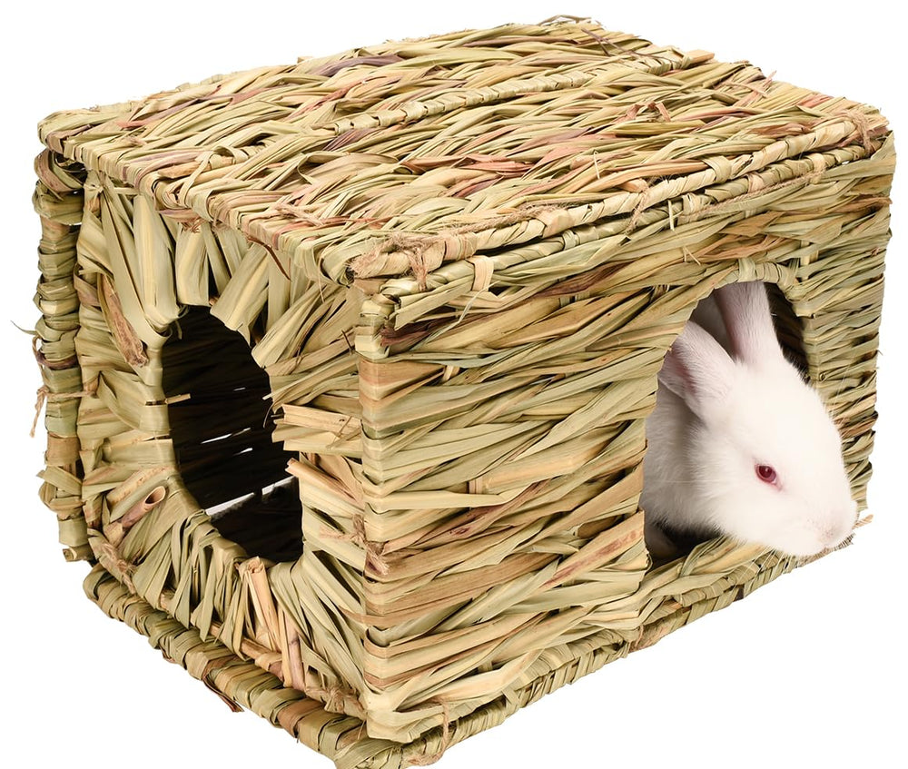 S Sangle Sopffy jouets-grignotage-lapin, activité dentaire ludique et sûre.