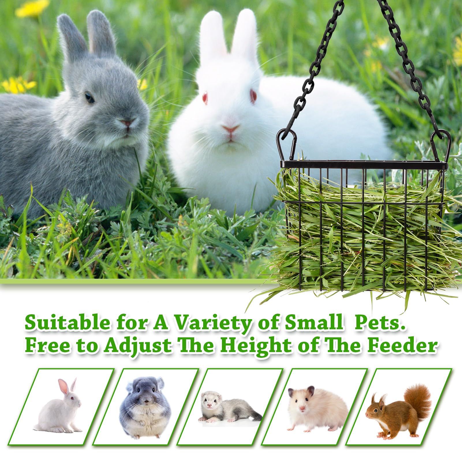 Usage quotidien dans la cage avec Sangle Sopffy