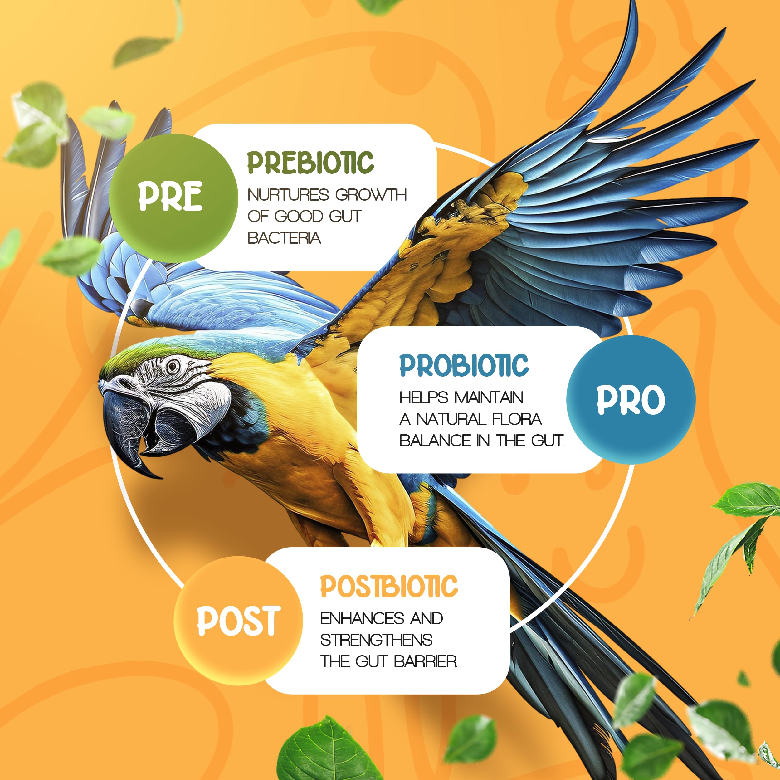 Sacred Valley Pets postbiotiques-perroquet renforçant la barrière intestinale.