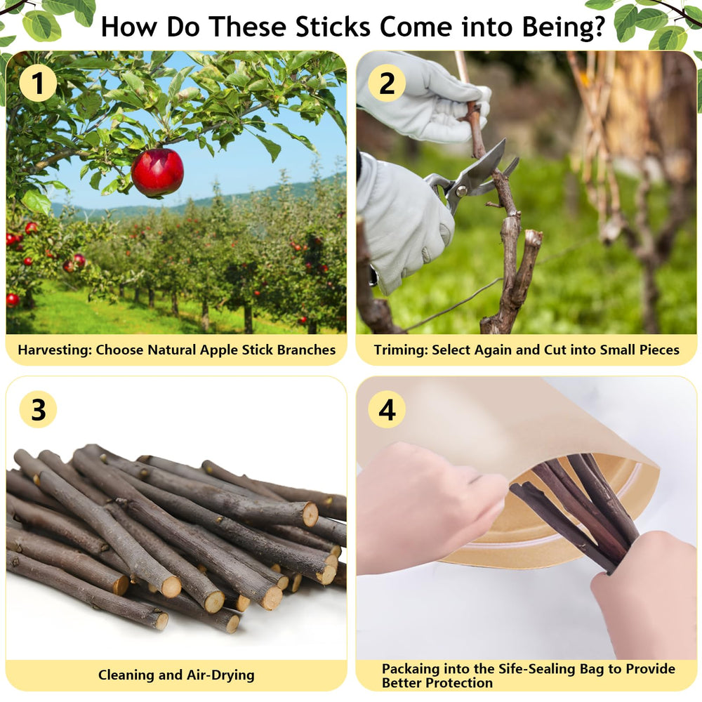 Sadaunbe sticks pomme pour petits animaux, activité de mâchage