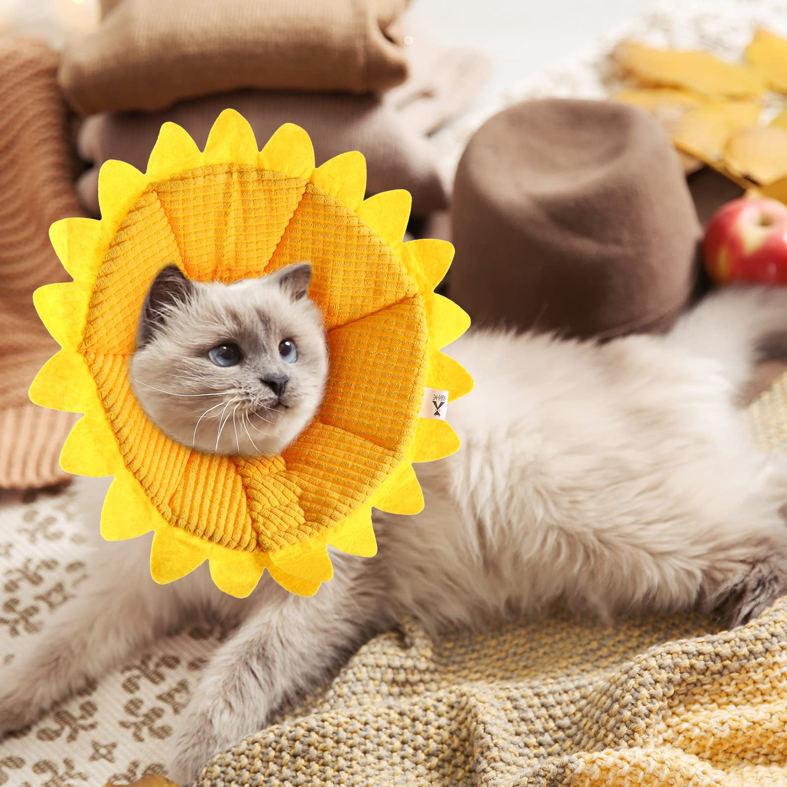Sadnyy collier Sunflower confort doux pour l animal.