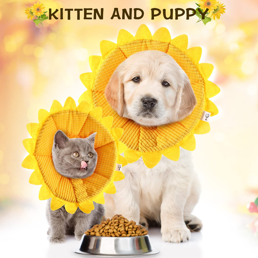 Sadnyy collier Sunflower nettoyage facile et rapide.