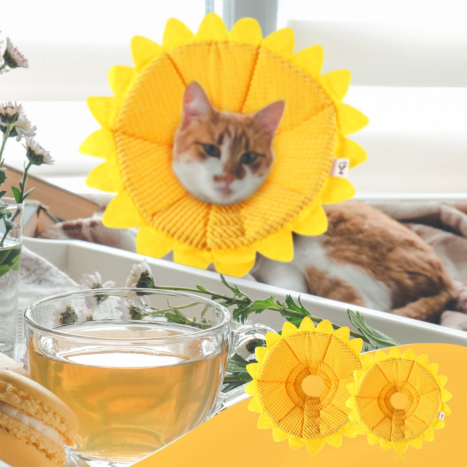 Sadnyy collier tournesol bain chat, lavable et pratique.