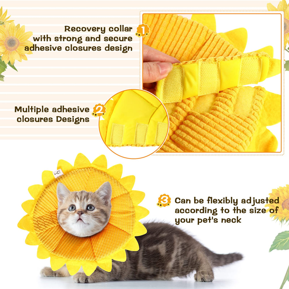 Sadnyy collier tournesol reglable chat, ajustement sûr et facile.