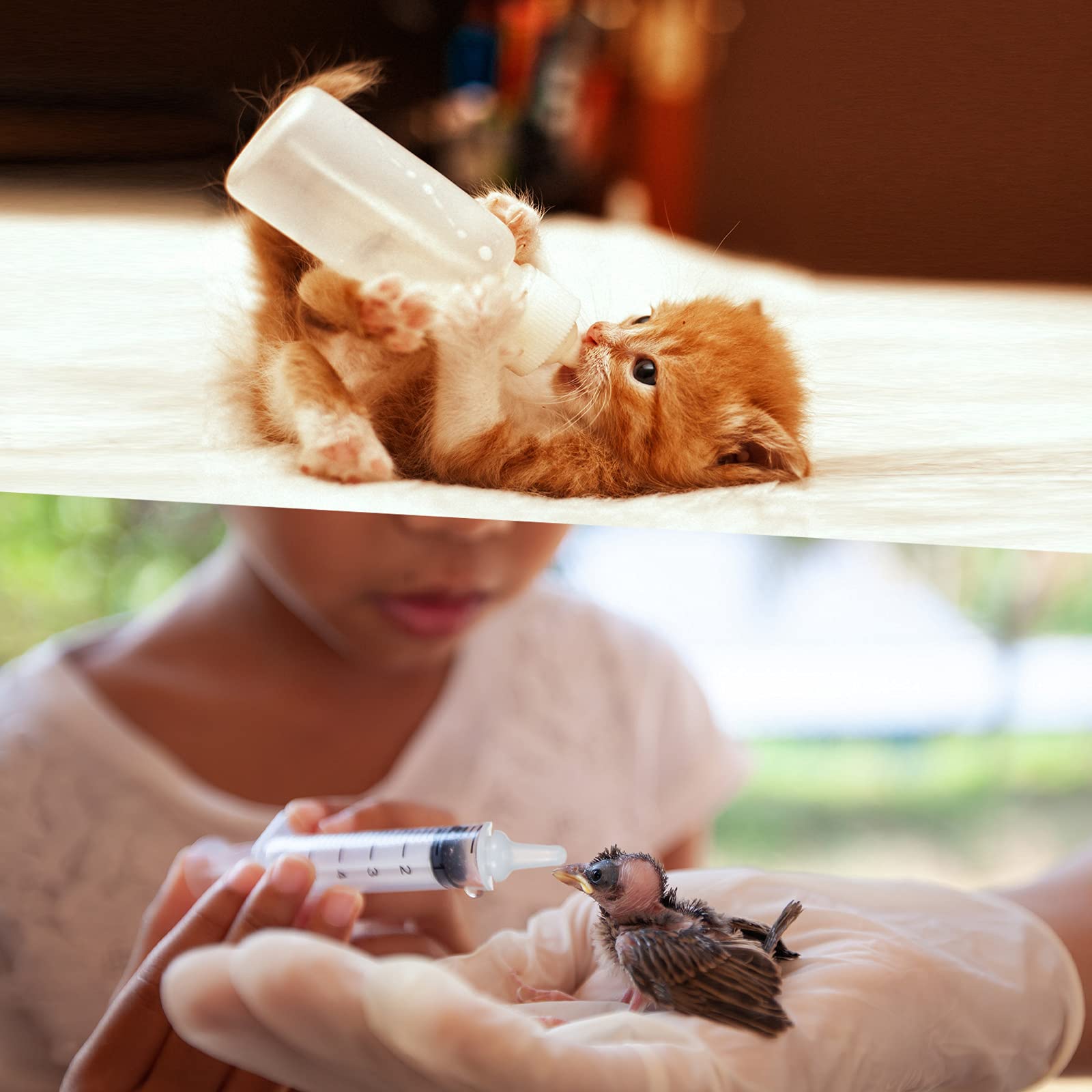 Sadnyy ensemble complet pour nourrir et prendre soin de petits animaux.