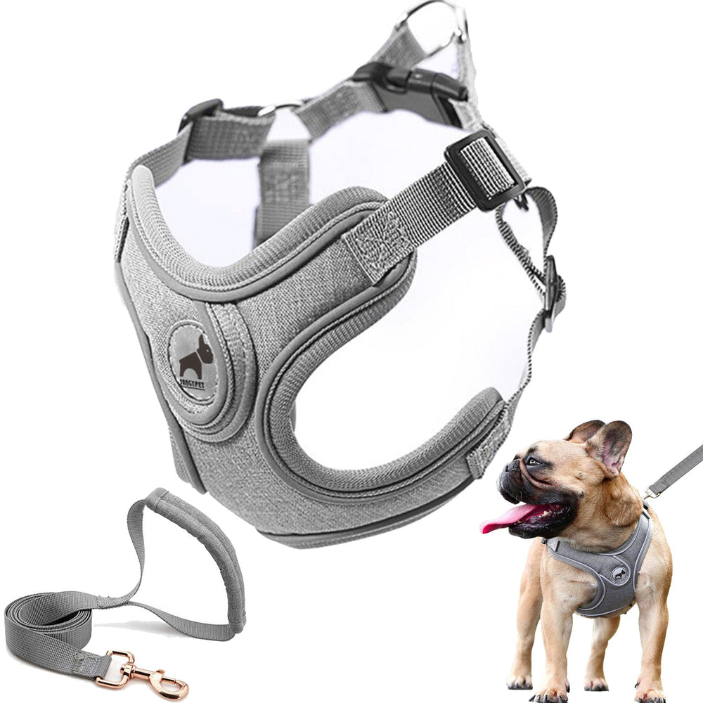 SAEGYPET harnais-chien vest-reflechissant pour promenade nocturne sécurisée.