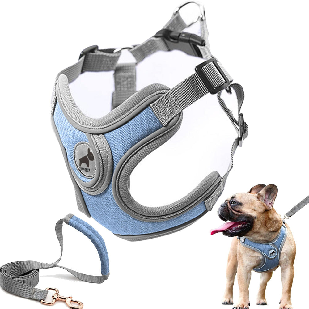 Harnais SAEGYPET pour chien avec veste respirante, confort lors des promenades.