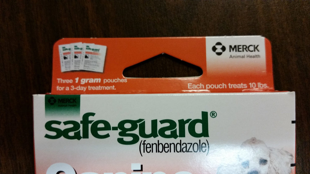 Préparation du vermifuge Safe-Guard à mélanger aux repas quotidiens des chiots.