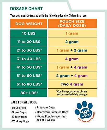 Résultats potentiels après 3 jours, chien confortable grâce à Safe-Guard.