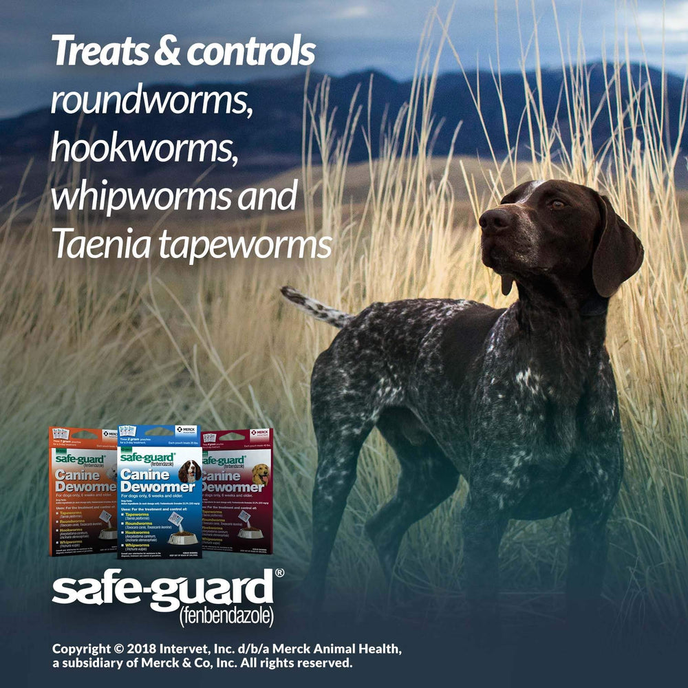Safe-Guard dose quotidienne-poche-2g, administration simple sur 3 jours.