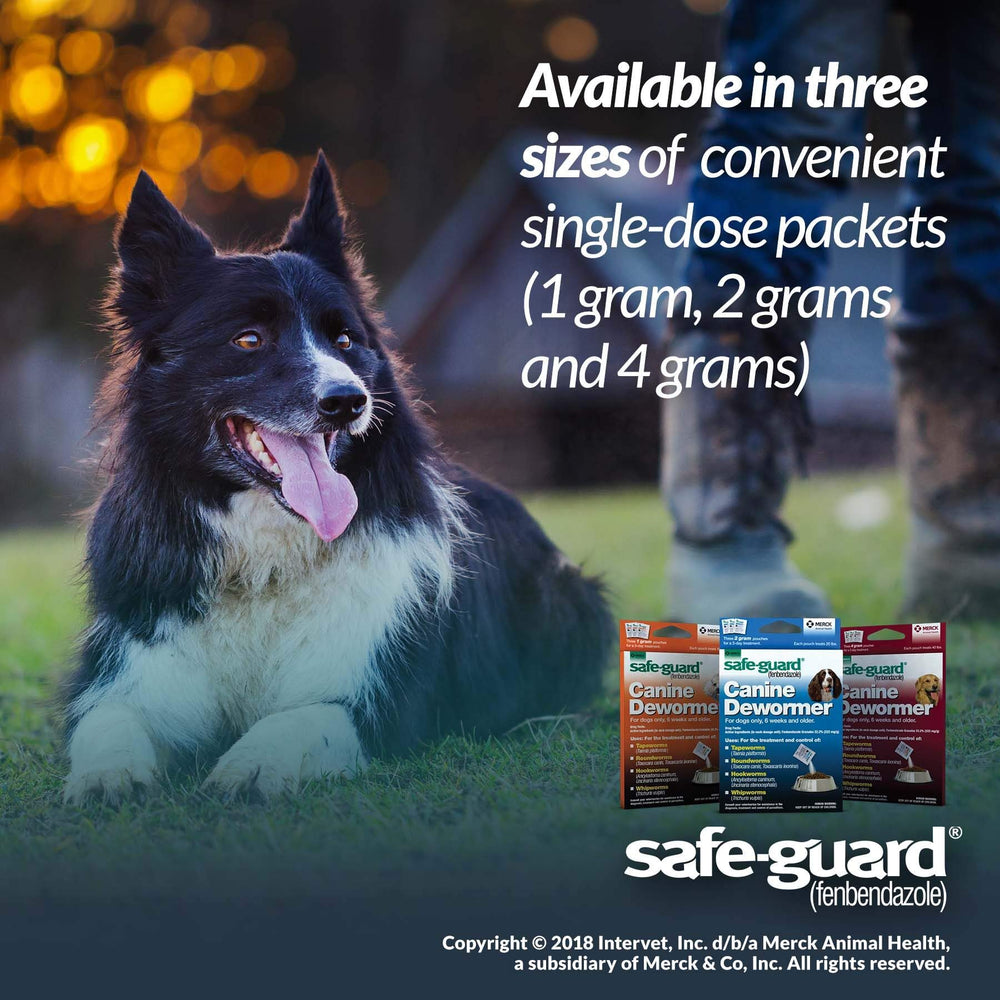 Safe-Guard vermifuge chien-bleu emballage, pratique à stocker à température ambiante.