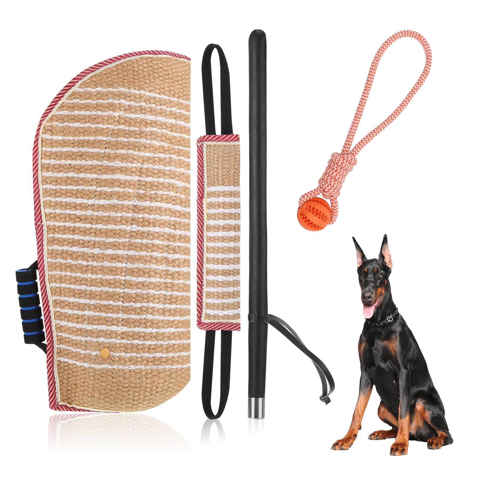 Safesto ensemble entraînement morsure chien: outil complet pour renforcer l’obéissance et la morsure contrôlée