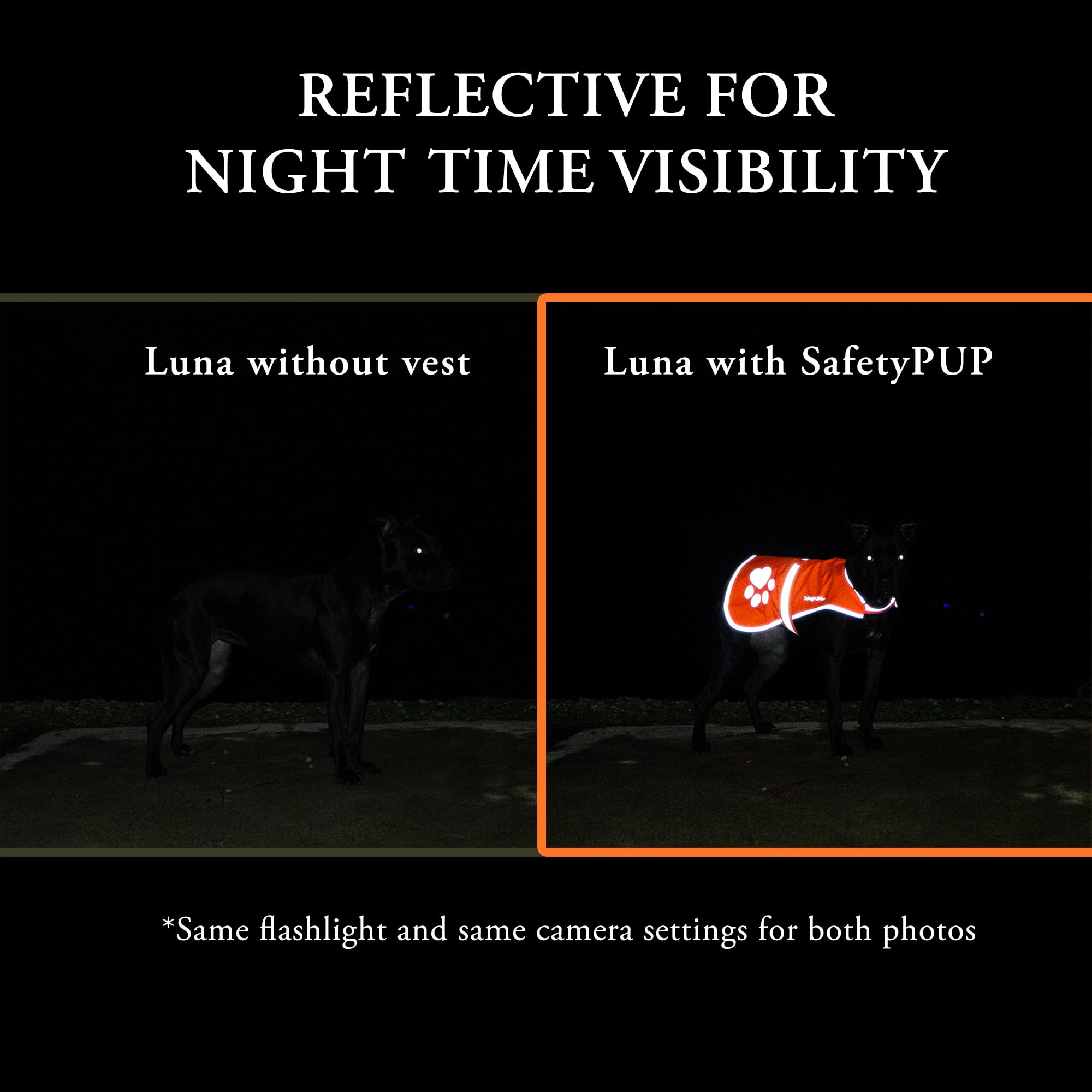 Protection légère et durabilité SafetyPUP XD adaptée pour les activités en plein air.