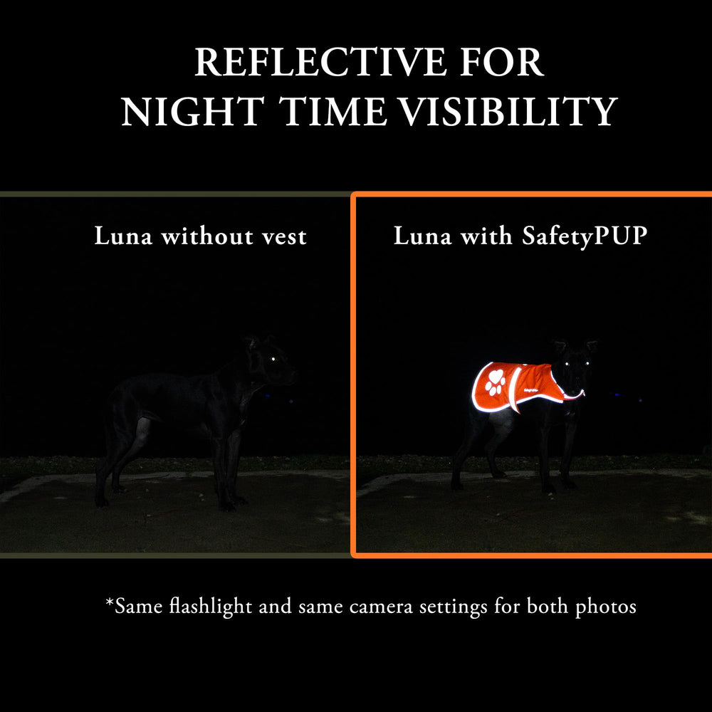 Protection légère et durabilité SafetyPUP XD adaptée pour les activités en plein air.