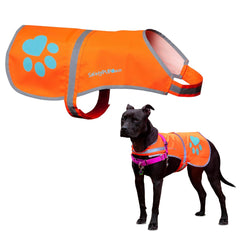 Veste SafetyPUP XD réfléchissante pour chien, visibilité accrue lors des sorties nocturnes.
