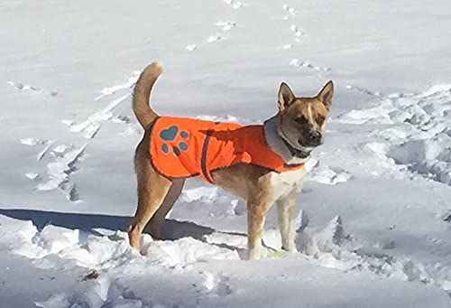 Réflecteurs SafetyPUP XD améliorant la visibilité pendant les balades nocturnes.
