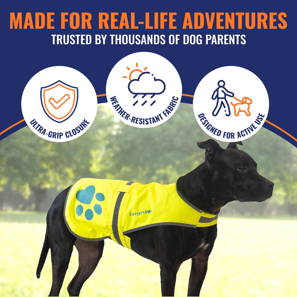 SafetyPUP XD gilet avec sangle utilitaire latérale pour accessoires.