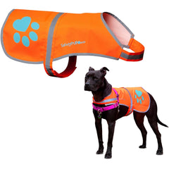 SafetyPUP XD veste réfléchissante orange, visibilité renforcée pour les sorties nocturnes.