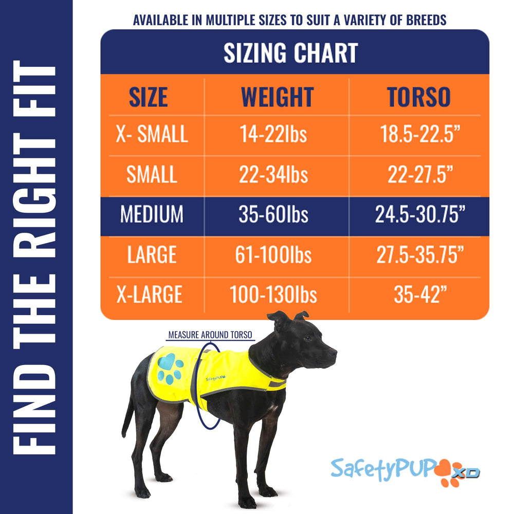SafetyPUP XD gilet réfléchissant dos chien, visibilité améliorée lors des sorties nocturnes.