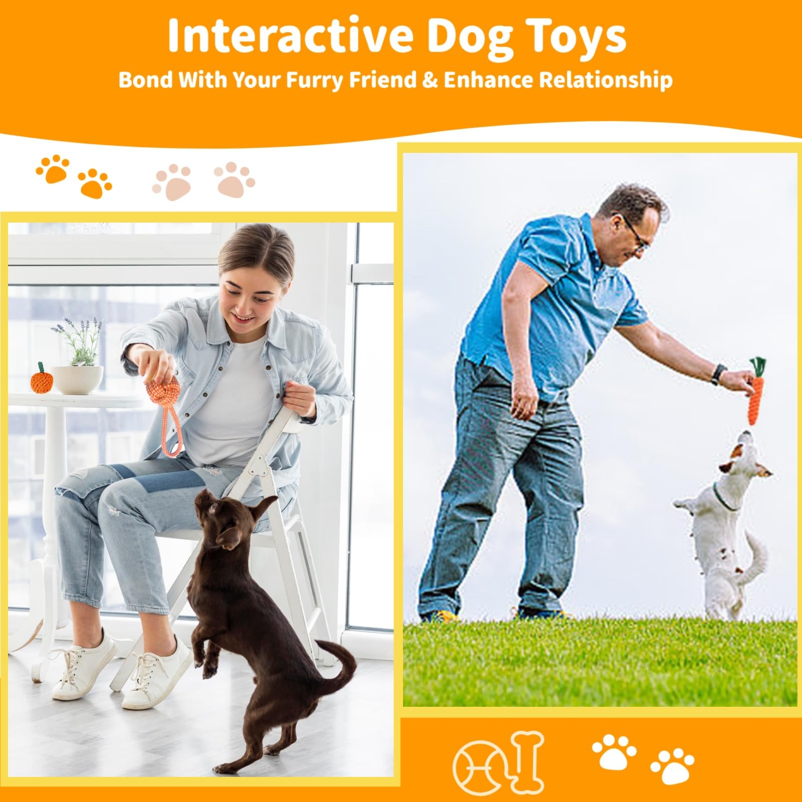 Sagildoq frisbee exterieur-chien, distraction en plein air et exercice.