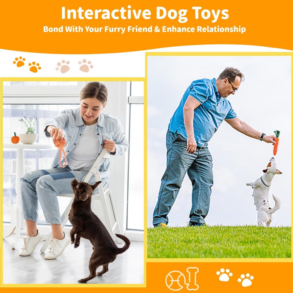 Sagildoq frisbee exterieur-chien, distraction en plein air et exercice.