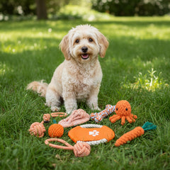Sagildoq jouet corde tirage petit chien, durable et sûr.