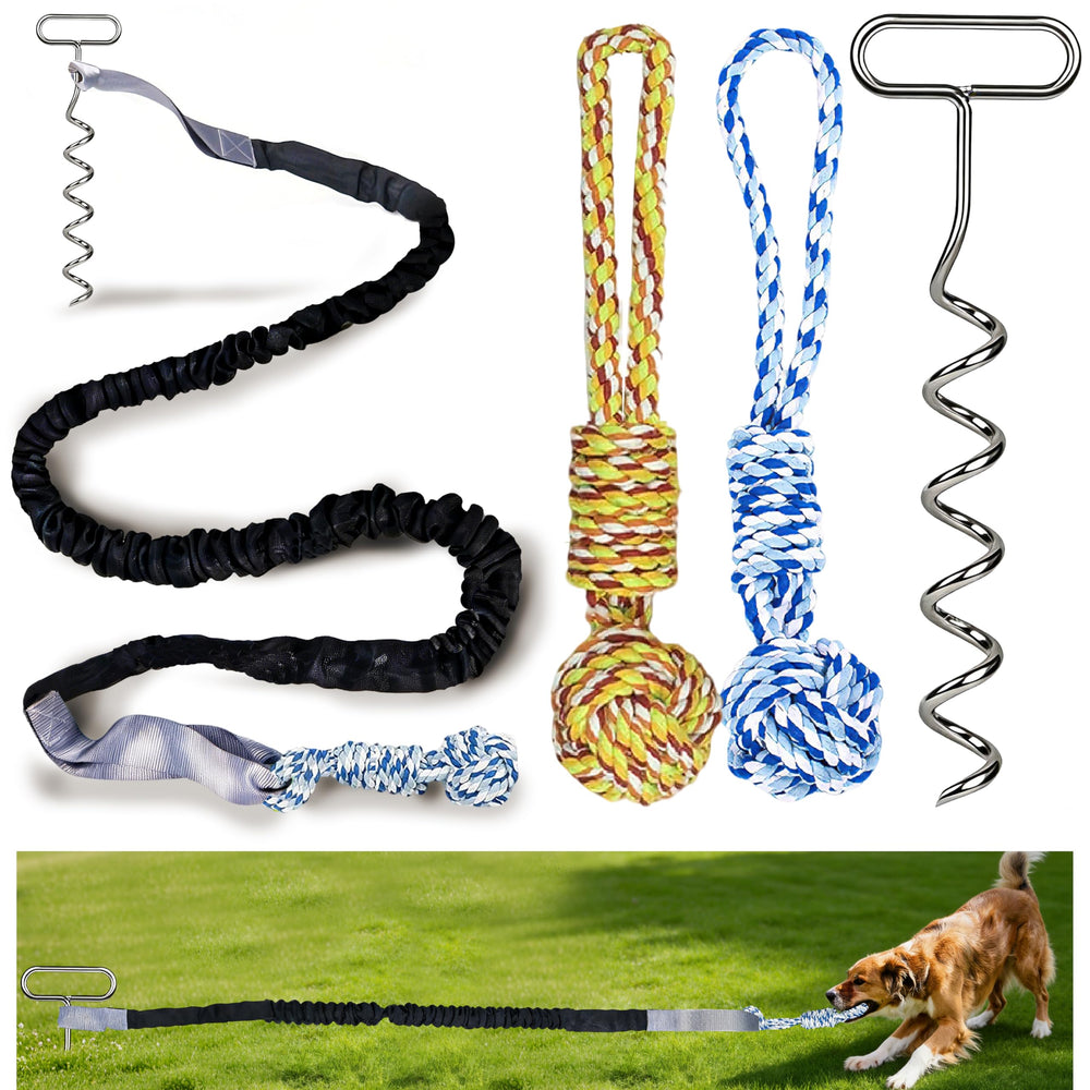 Jouet de tir élastique SailStart pour chien sur pelouse, stimulation et énergie.