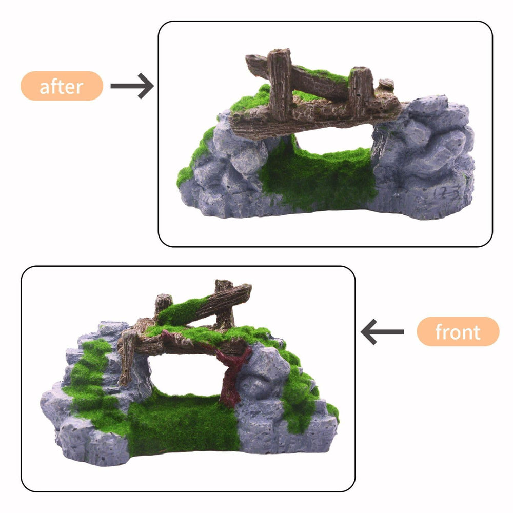 Saim ouverture-trou grotte, refuge pratique pour petits poissons.