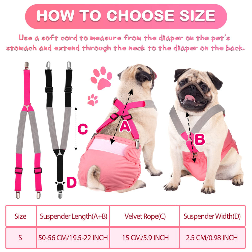 Saintrygo guide tailles pour S, M et L selon la morphologie du chien.