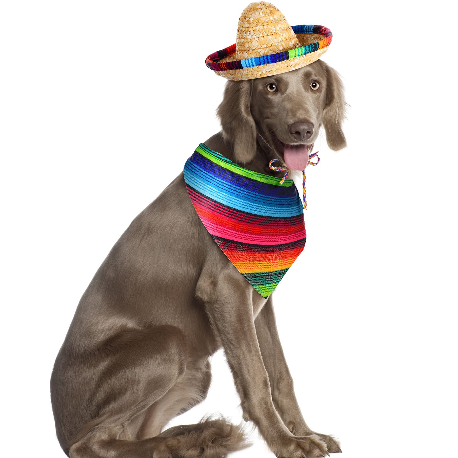 Chapeau réglable Saintrygo, s'adapte facilement à la taille du chien.