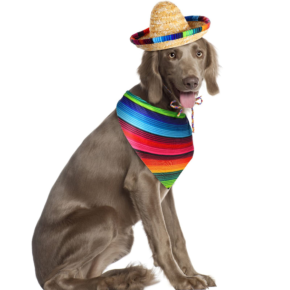 Chapeau réglable Saintrygo, s'adapte facilement à la taille du chien.