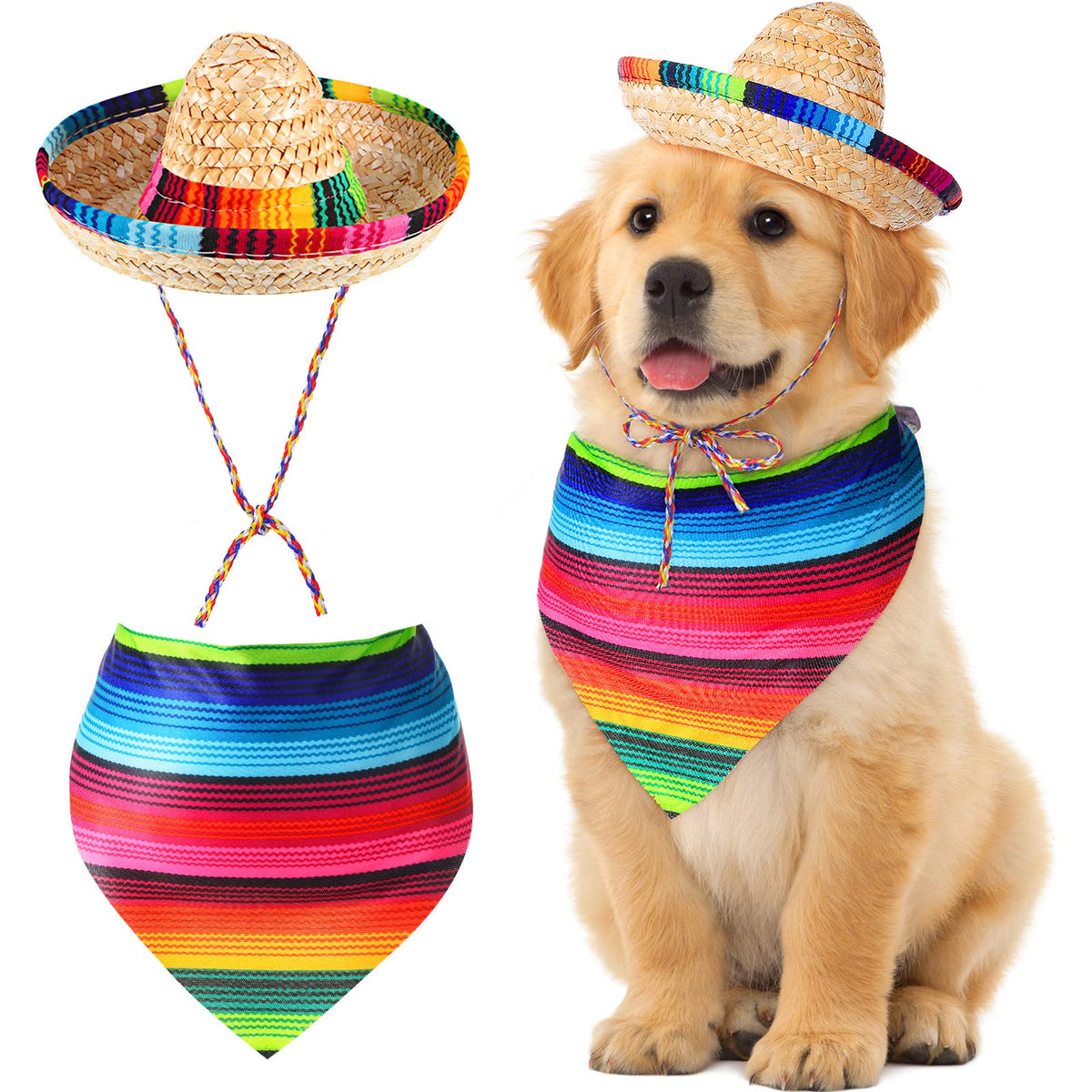 Le chapeau sombrero Saintrygo pour chien, parfait pour les fêtes et les photos.