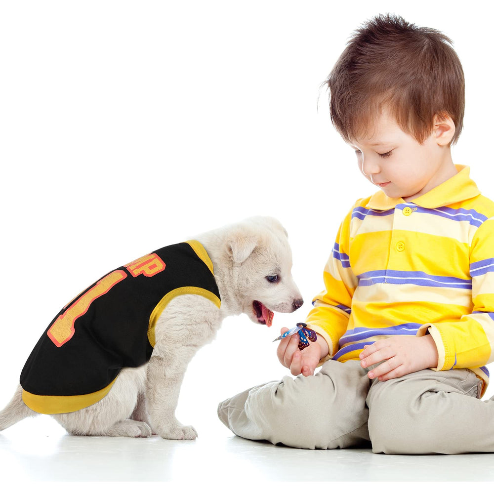 Plein de tenues Saintrygo pour le dressing quotidien des animaux