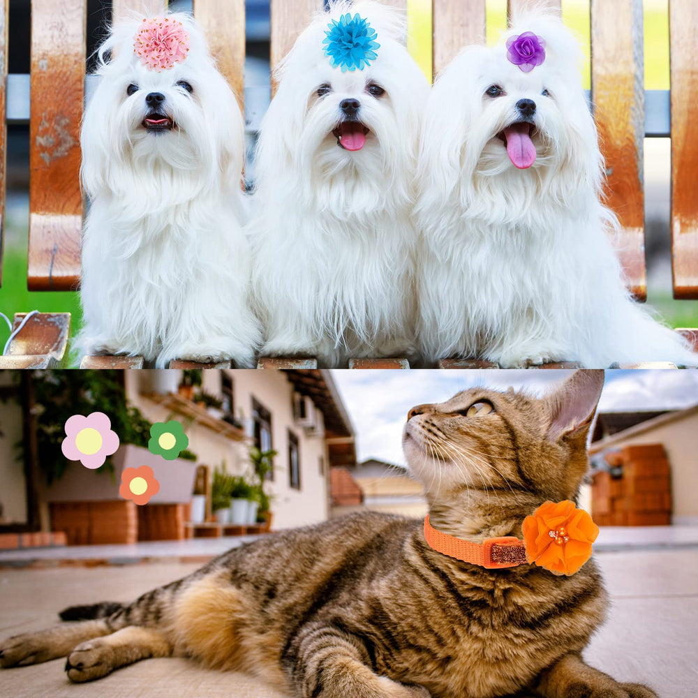 Saintrygo fleurs collier chat modele-1 – adorable et confortable pour les félins.