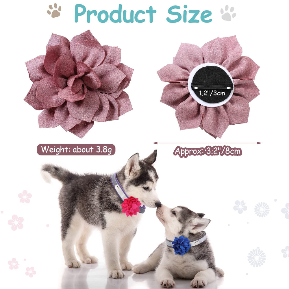 Saintrygo: fleurs pour collier chat multicolores, style et confort réunis.