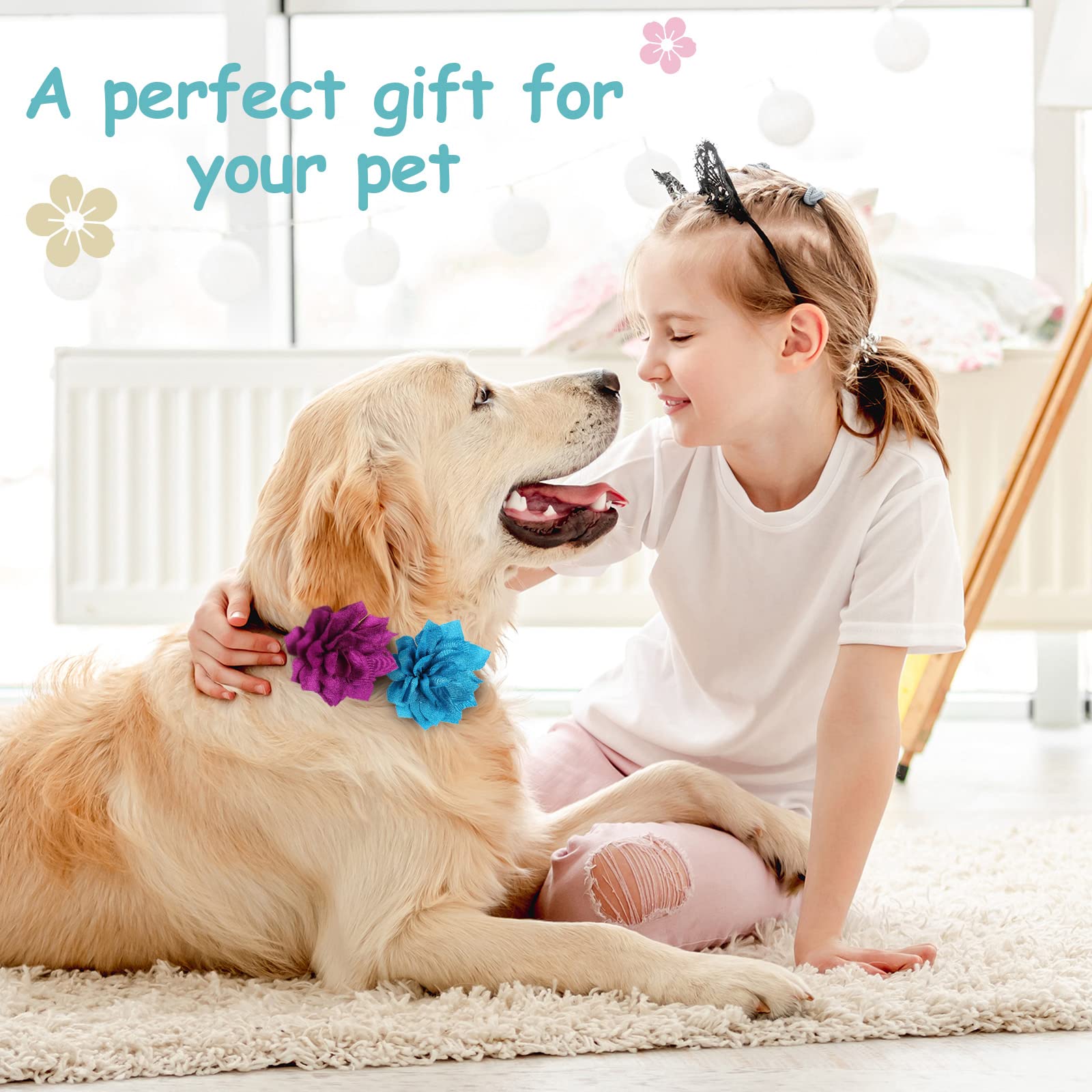Saintrygo: fleur lotus jaune sur collier chien, esprit vivant et charmant.