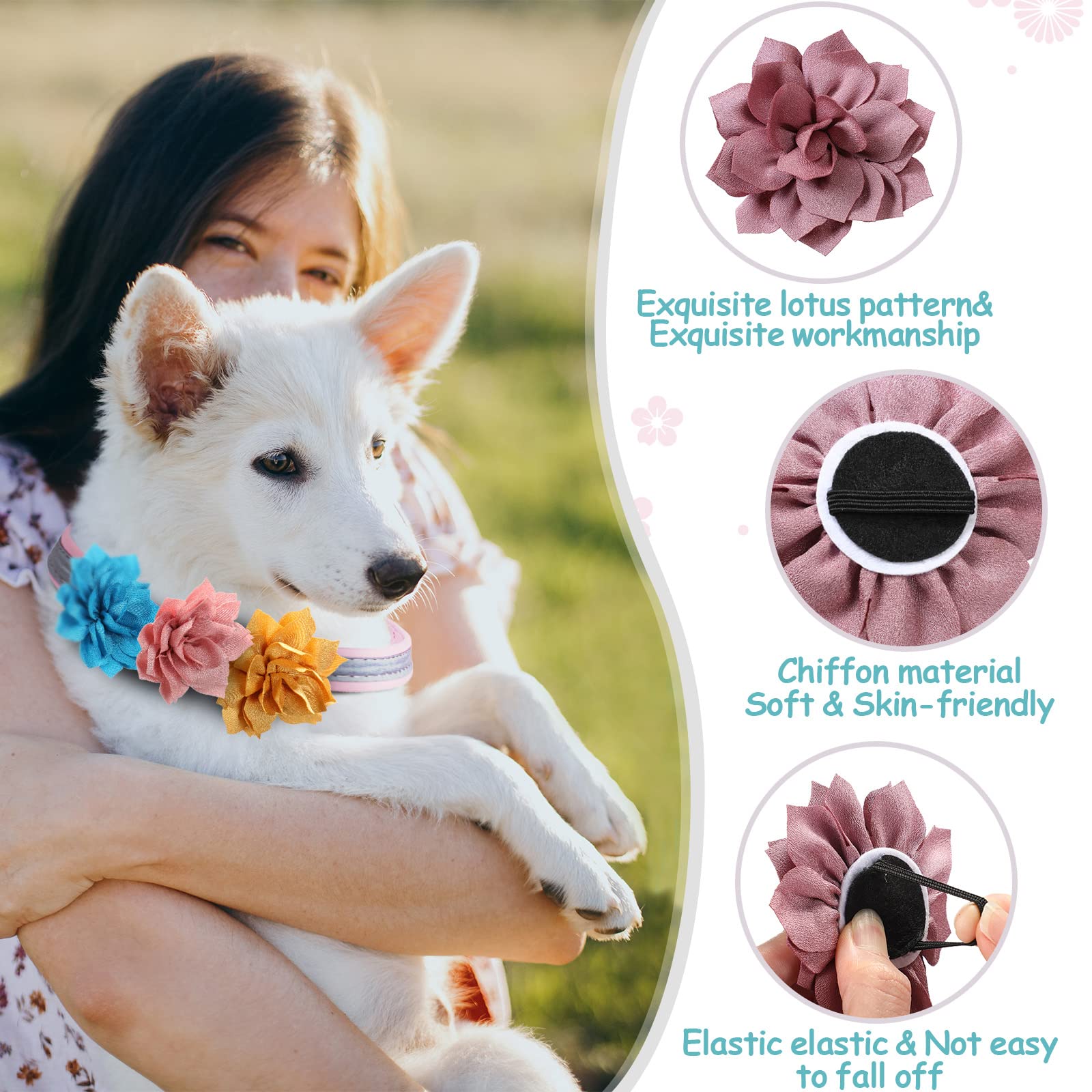 Saintrygo: fleur lotus rose sur collier chien, look élégant et doux.