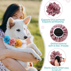 Saintrygo: fleur lotus rose sur collier chien, look élégant et doux.