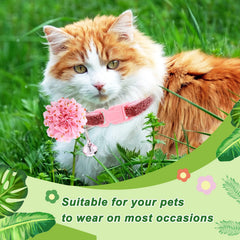 Saintrygo noeud fleur chien modele-2 – touche délicate et festive pour promenades.