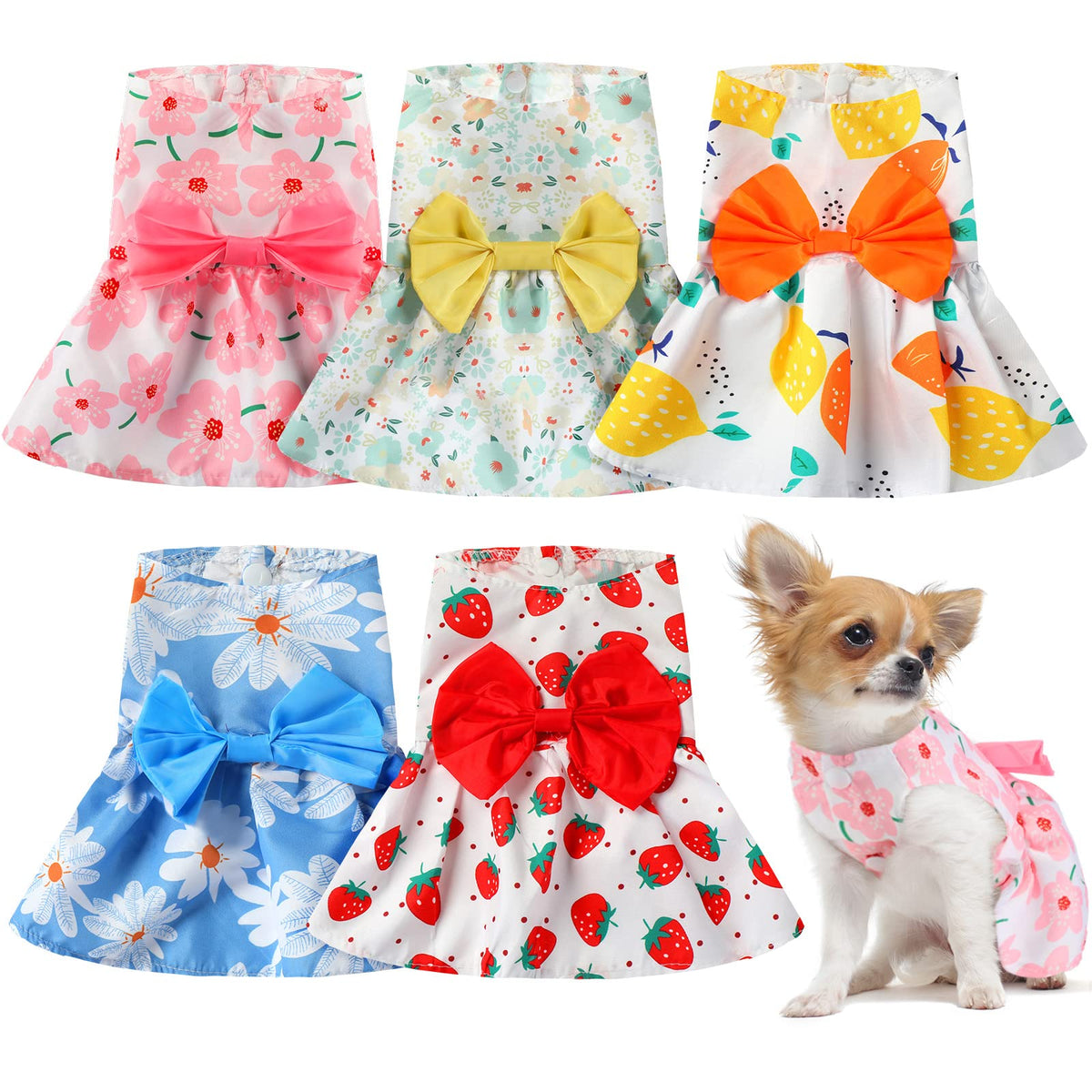 Robe Saintrygo pour chien avec fleurs rouges et nœud, parfaite pour sorties estivales.