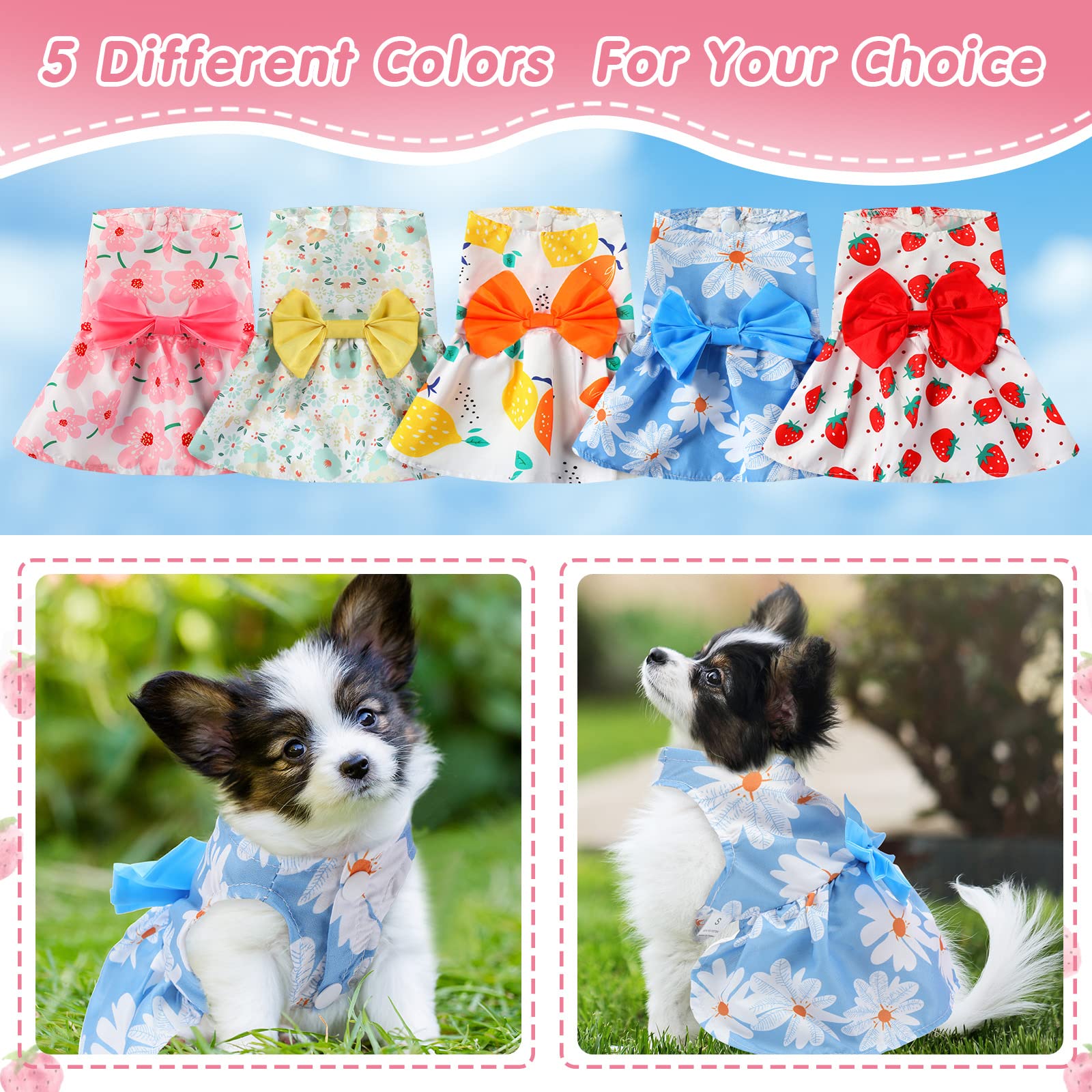Robe Saintrygo pour chien ipomée rose, style élégant et léger.