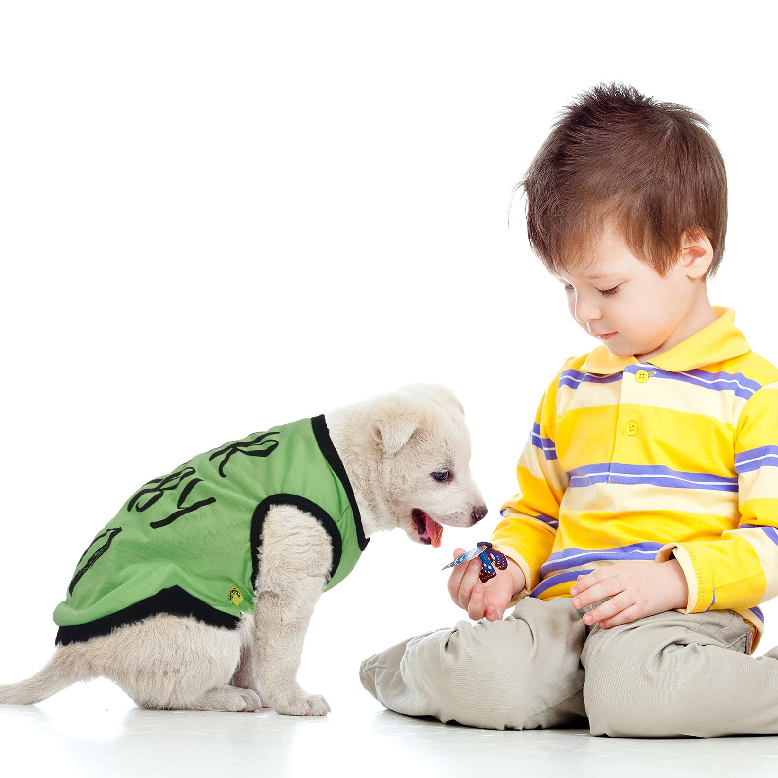 Saintrygo t-shirt chien promenade quotidienne, pratique pour les sorties.