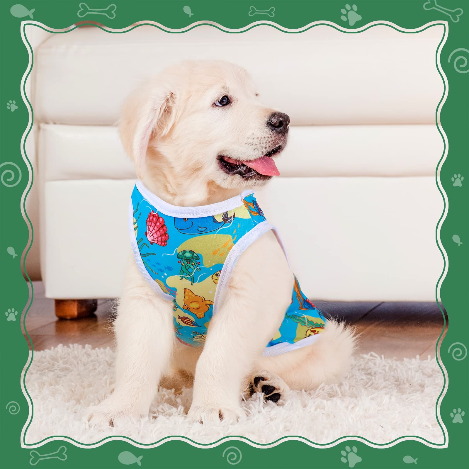 Tee-shirt Saintrygo pour chien petit imprimé été, lavage en machine possible.