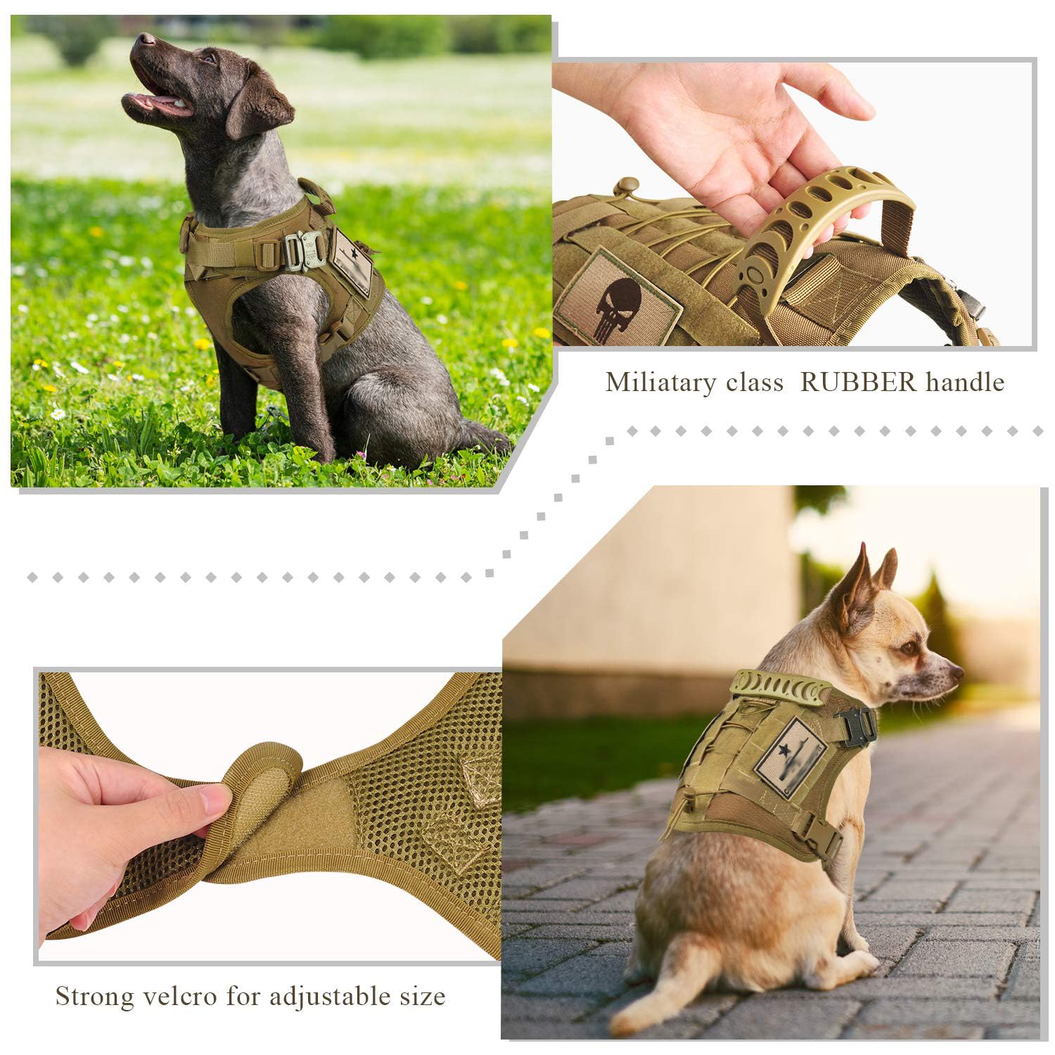 SALFSE gilet tactique démontrant le système MOLLE pour accessoires extérieurs
