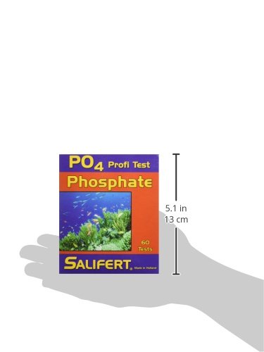 Lecture couleur Salifert indiquant le niveau de phosphate avec clarté.
