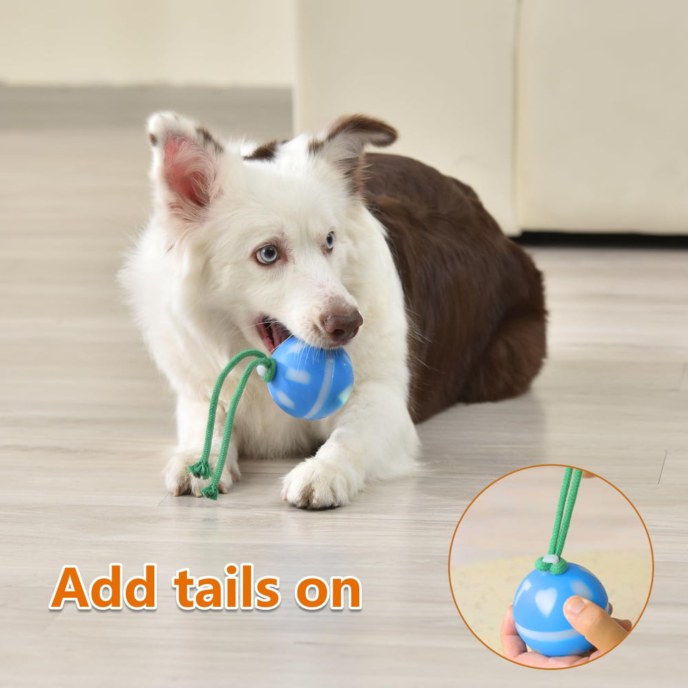 Salodal balle de 7 cm idéale pour chiens petits et moyens.