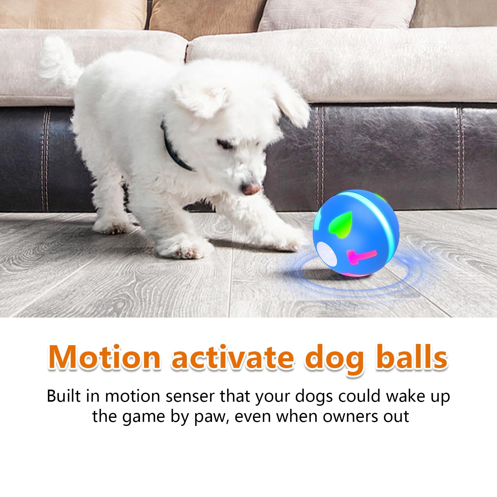 Salodal balle avec modes roulage et interaction pour chien.