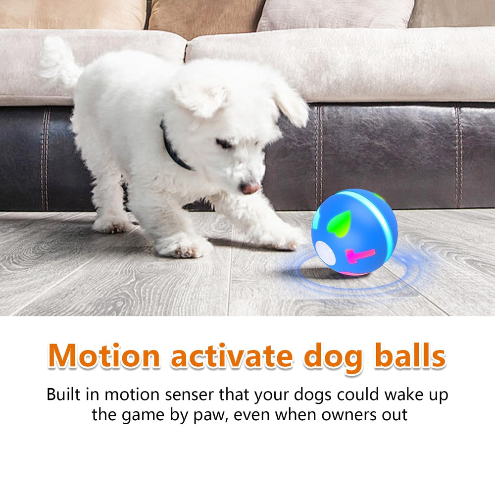 Salodal balle avec modes roulage et interaction pour chien.